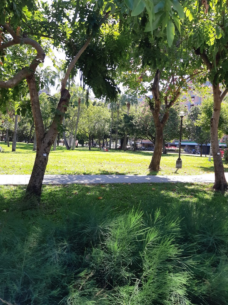 福星公園｜台中親子景點大推薦：帶孩子玩得開心的五大選擇