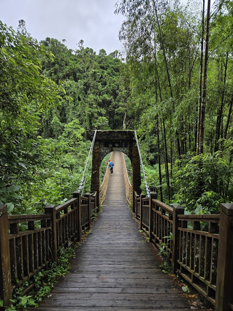 設施地圖｜南投景點推薦：探索溪頭自然教育園區等五大必訪地點