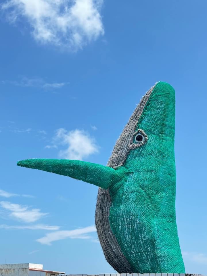 迦南海耶 HAYI 海廢創生基地