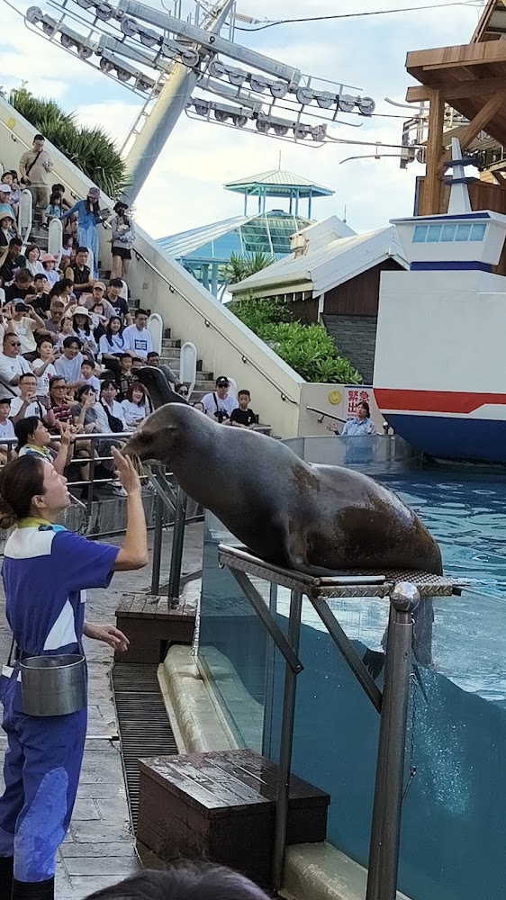 所有|探秘花蓮海洋公園|無法錯過的5大精彩活動