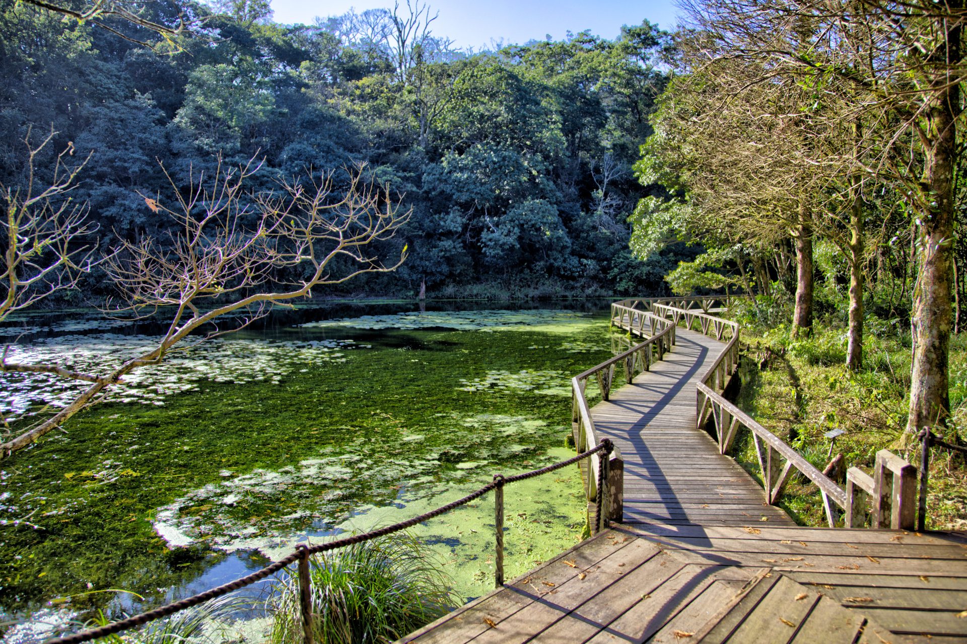 探索福山植物園的自然之美｜全家必訪的生態公園