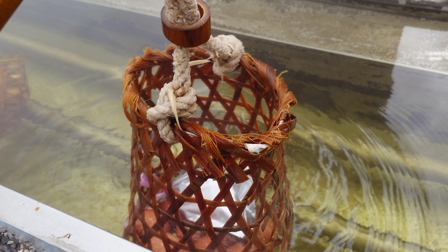 幾日前的更新|探索清水地熱公園:獨特的地熱體驗與美食享受