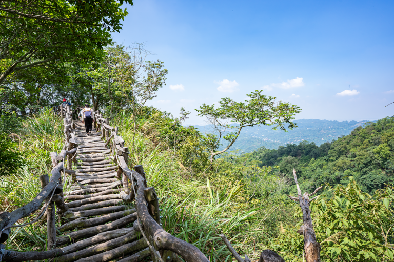 大坑二號登山步道｜大坑步道探索：必訪的5條登山路線與美食推薦