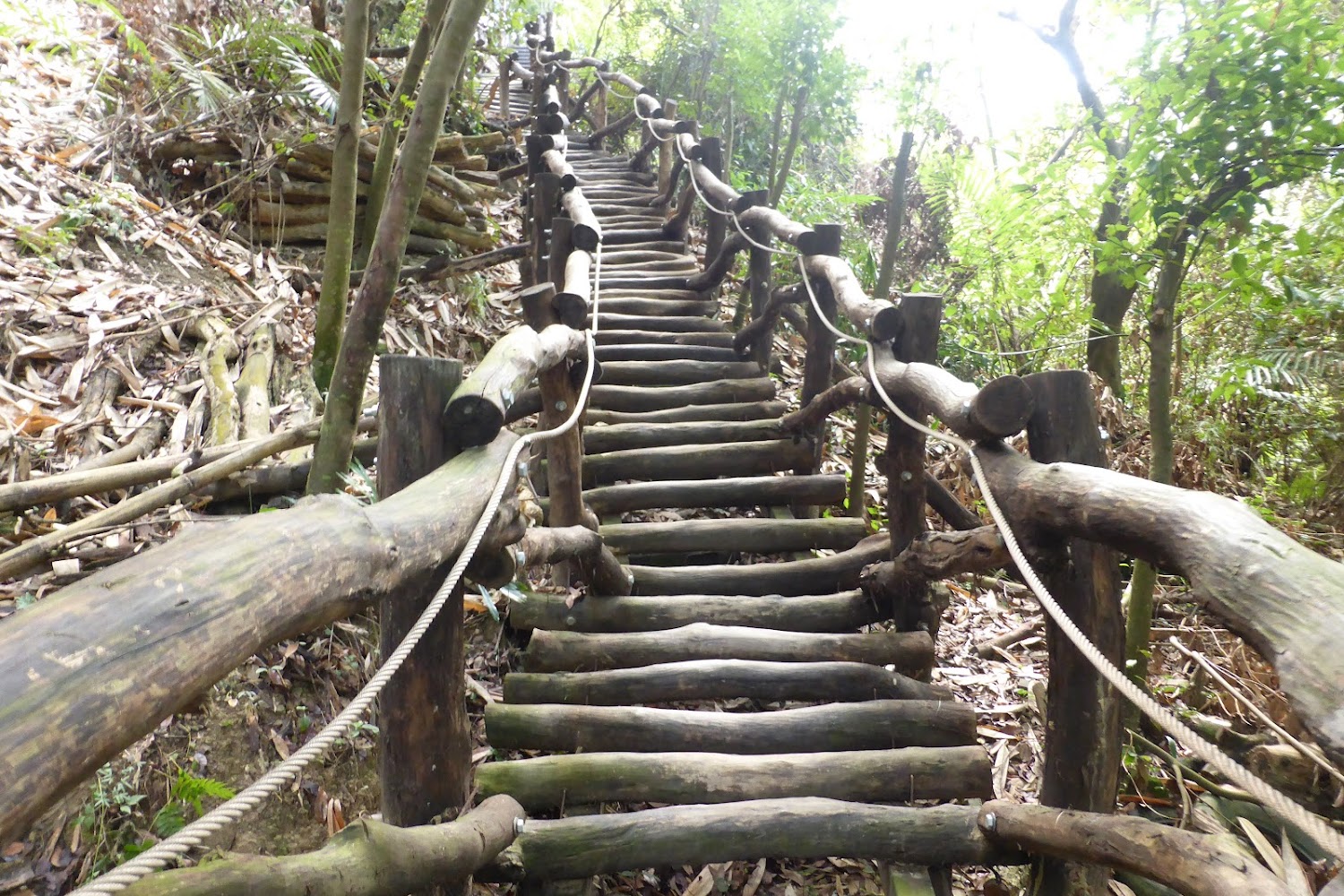 大坑九號登山步道|大坑步道的探險之旅:從步道到美食,享受台中自然之美