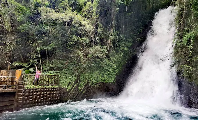 沿著南投的山與水前行，從月牙灣湖畔到溪頭森林步道，走出一段剛好的距離
