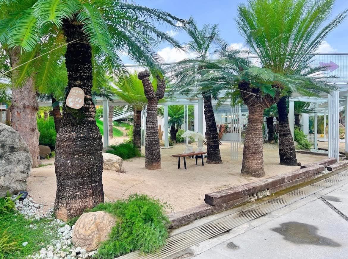 彰化田尾好田森林的南洋風棕櫚沙地區域,設有座椅與休憩空間