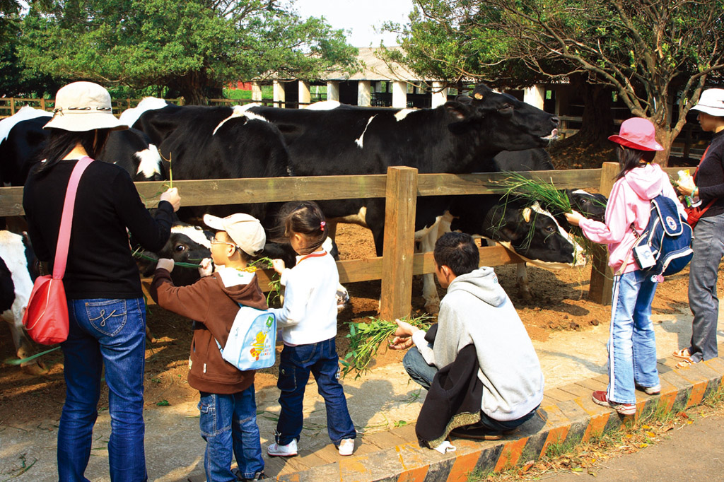 桃園景點必遊攻略｜探索五大知名旅遊熱點