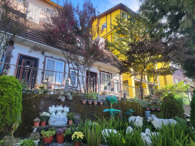 住進清境民宿的高山靜夜,看星空鋪滿天空再等日出穿過雲海