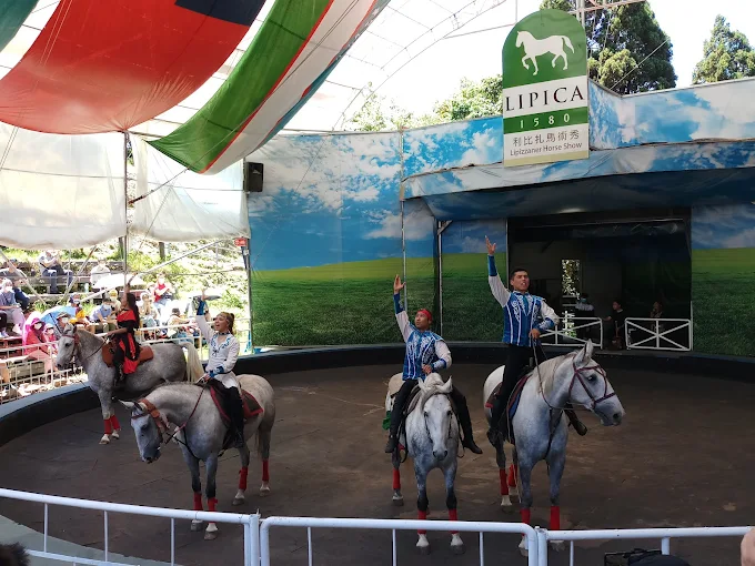 專業騎士在觀山牧區進行馬術演出，驚險的動作讓現場驚呼連連