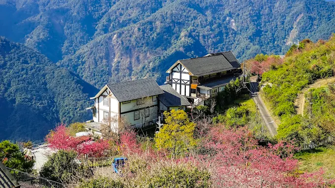 清境雲頂渡假山莊依山而建，周圍環繞櫻花與翠綠山谷