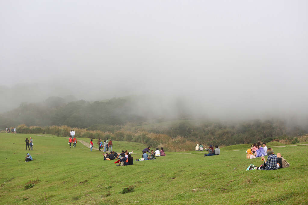 擎天崗草原霧氣中遊客野餐休憩