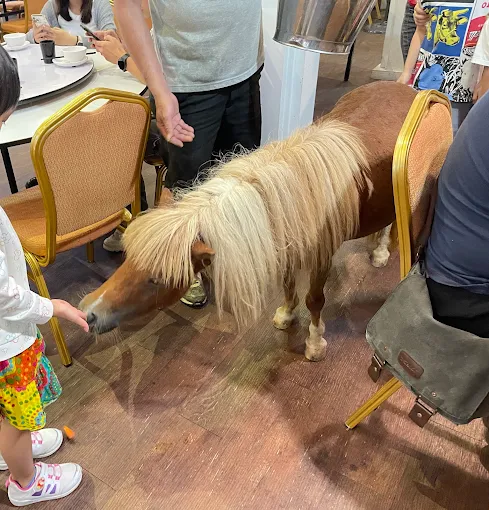 礁溪美食攻略：探索必吃餐廳的5大精華