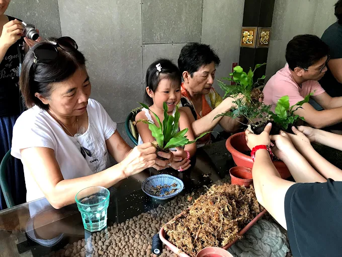 遊客在三富休閒農場參加植物手作課程，親子共同完成盆栽 DIY