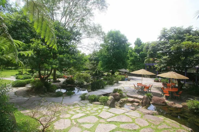 「三富休閒農場戶外花園咖啡區，樹蔭與陽傘下的座位區，提供旅客放鬆與用餐的自然環境」