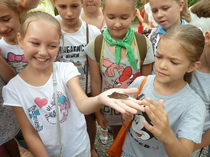 小女孩在三富休閒農場觀察手中的蝴蝶，周圍孩子專注觀看