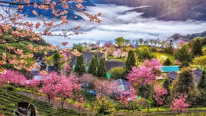 五峰鄉天氣與旅遊資訊｜新竹山林秘境全攻略