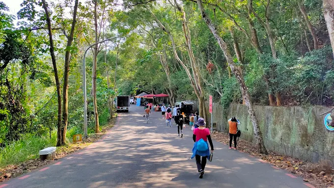 綠樹成蔭的藤山步道健行路徑