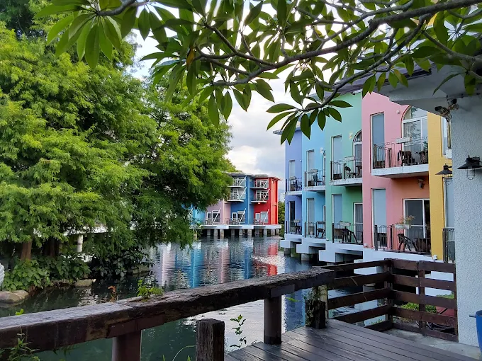 宜蘭親子必去｜水岸森林休閒農場全攻略：餵食水豚、羊駝與湖畔美景一次享受！