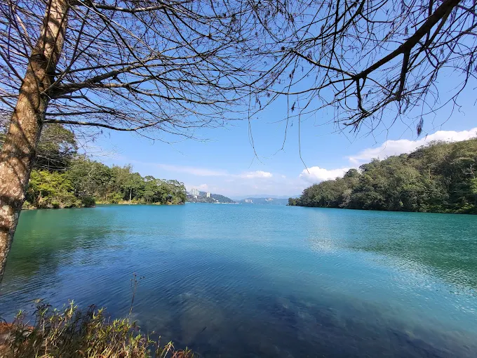 向山觀景平台湖景遠眺畫面，前景為樹枝與寧靜湖面
