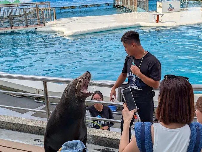 北海岸一日遊必訪景點攻略|探索淺水灣、神秘海岸、潮境公園與野柳海洋世界