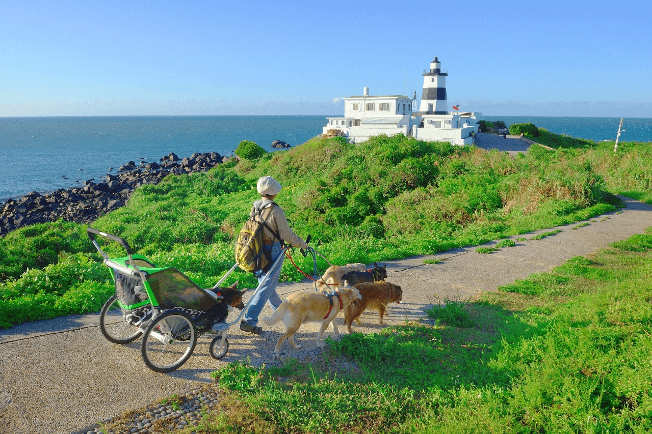 北海岸景點：探索神秘的海灘與壯麗的自然景觀