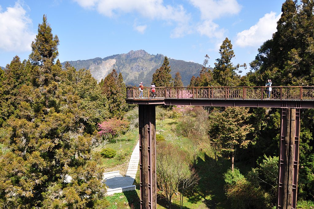 沿著台灣天空步道從桃園走到南投與阿里山，在瀑布轟鳴與雲海之間找到出發的理由