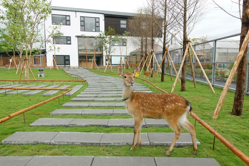 張美阿嬤農場的親子遊玩攻略｜提升孩子的自然體驗