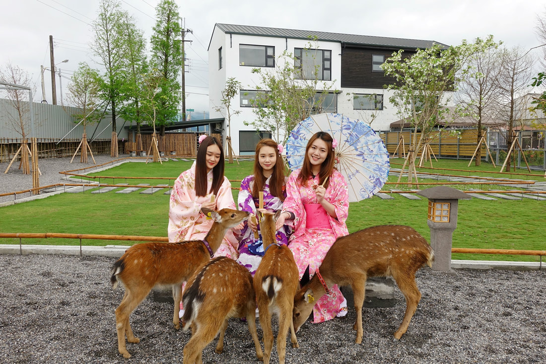 在宜蘭三星張美阿嬤農場餵水豚做手作甜點，讓午後時間在陽光裡慢慢鬆開