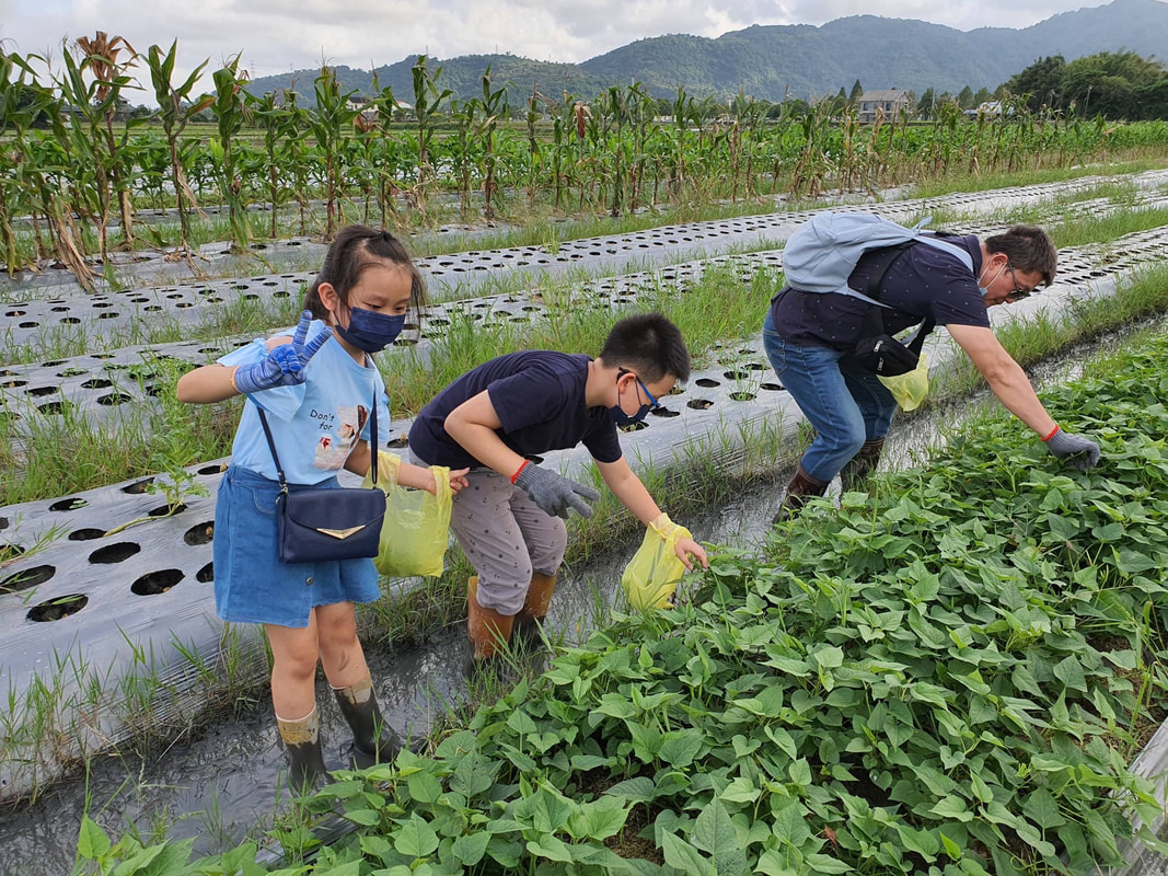 在宜蘭三星張美阿嬤農場餵水豚做手作甜點，讓午後時間在陽光裡慢慢鬆開