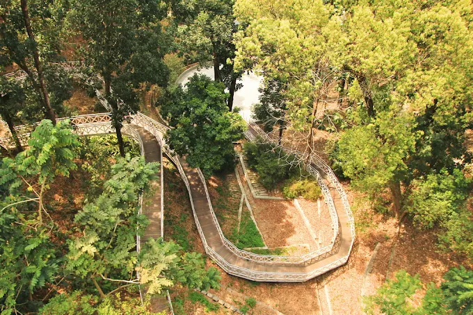 竹崎公園天空走廊