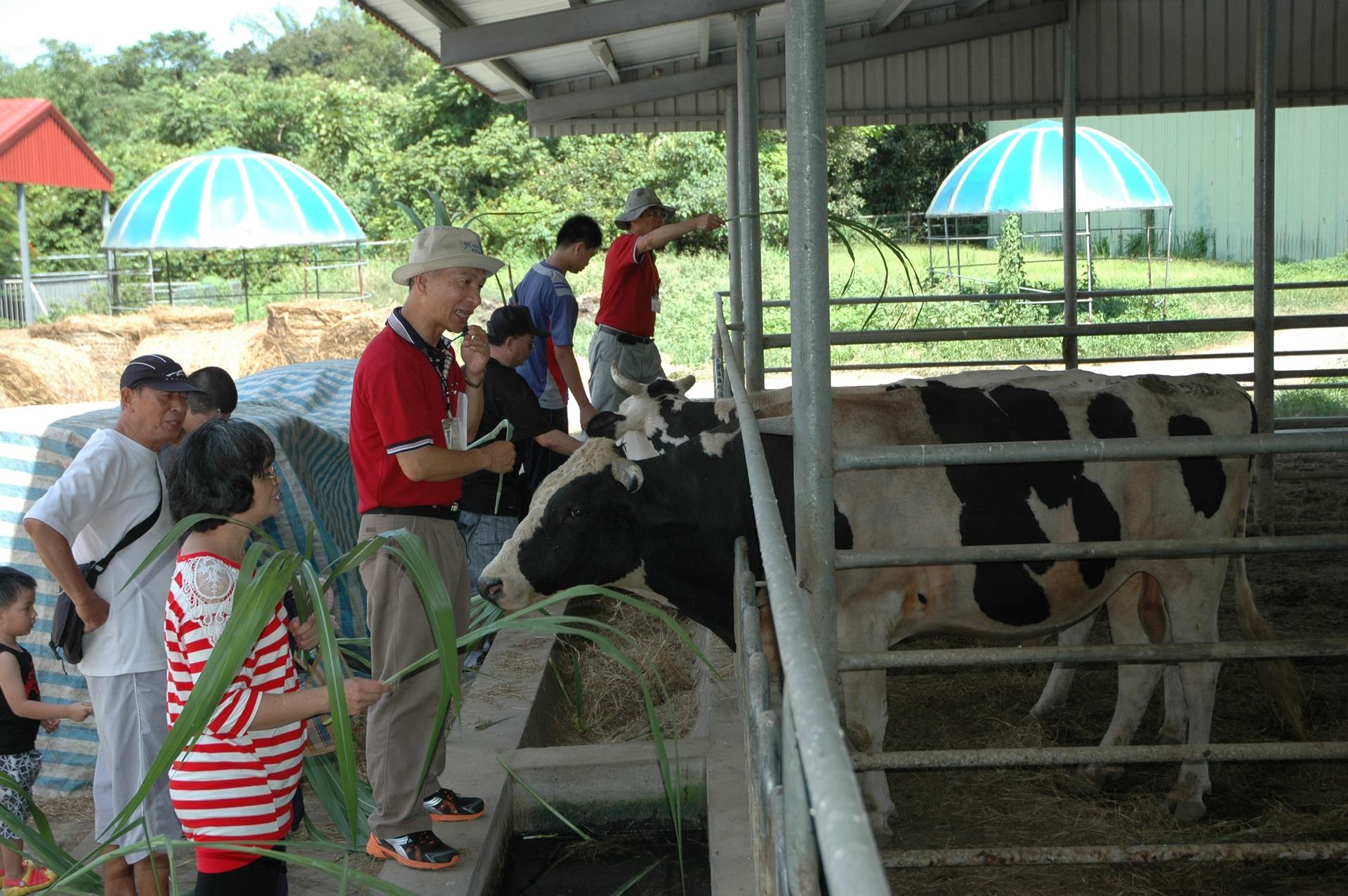 走馬瀨農場｜台南親子休閒好去處，享受自然、生態與美食的完美假期