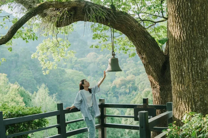 台中新社薰衣草森林｜夢幻紫色花海與香草美食，親子必訪療癒景點