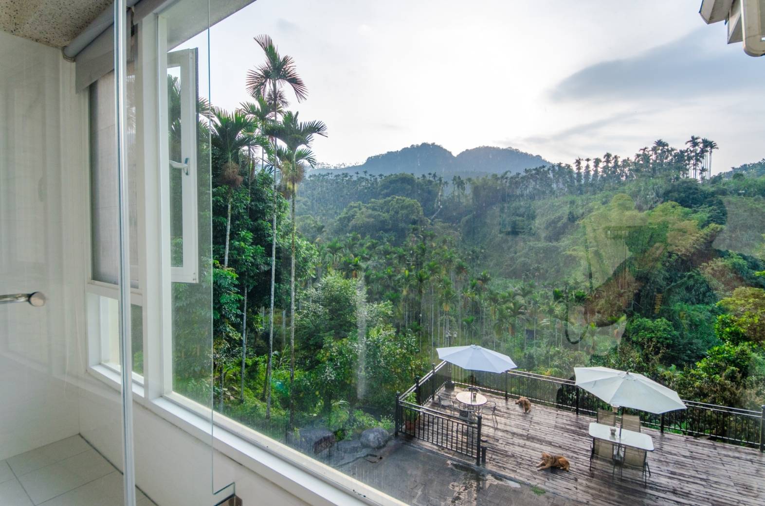 別墅周圍充滿綠意的園藝景觀