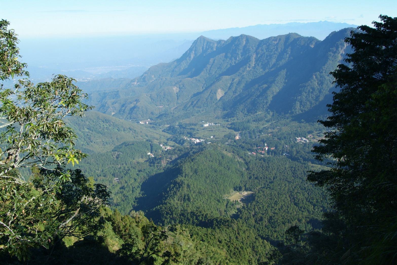 溪頭國家森林遊樂區