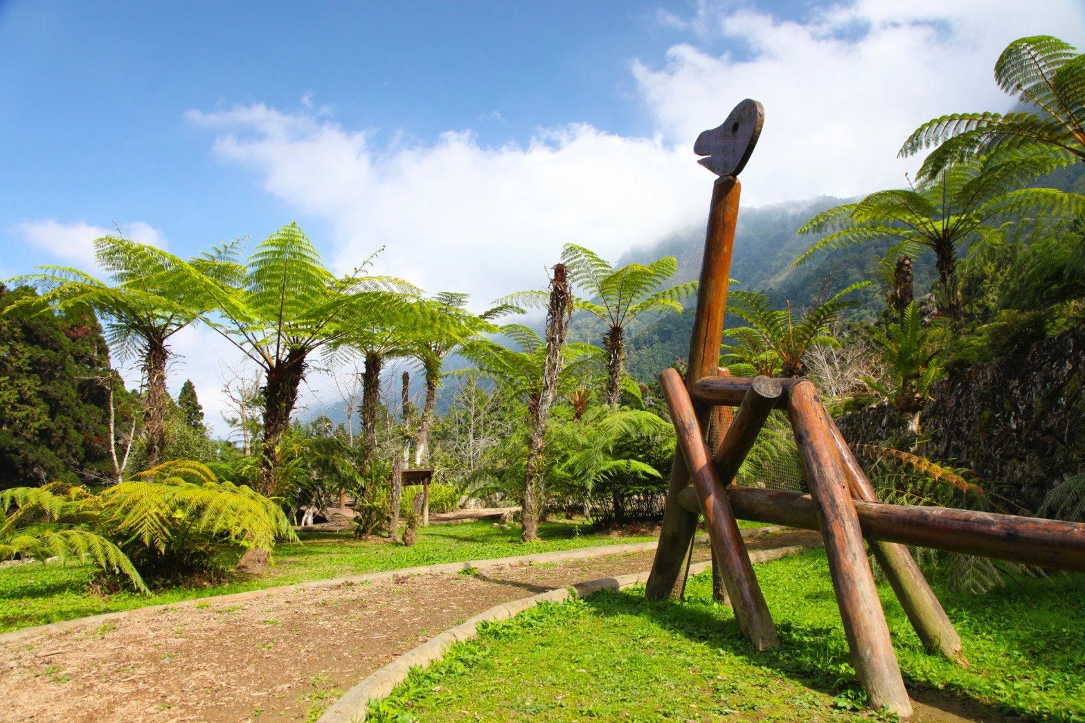 溪頭國家森林遊樂區