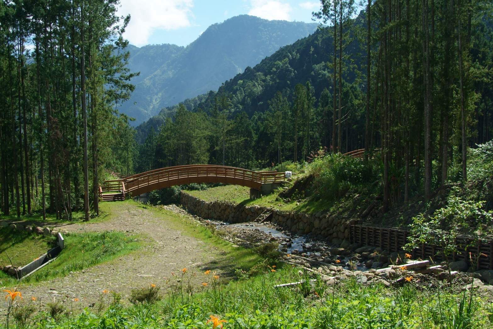 溪頭國家森林遊樂區
