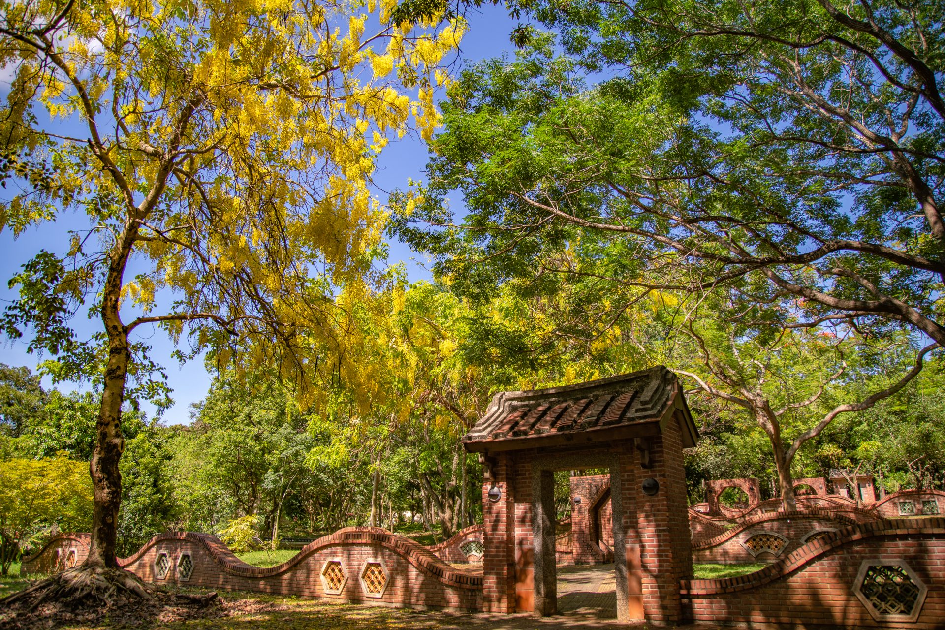 嘉義公園綠意盎然，是市區內難得的城市綠洲。