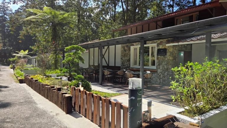 🌿 溪頭住宿推薦｜Success Banner 溪頭飯店．銀杏樓