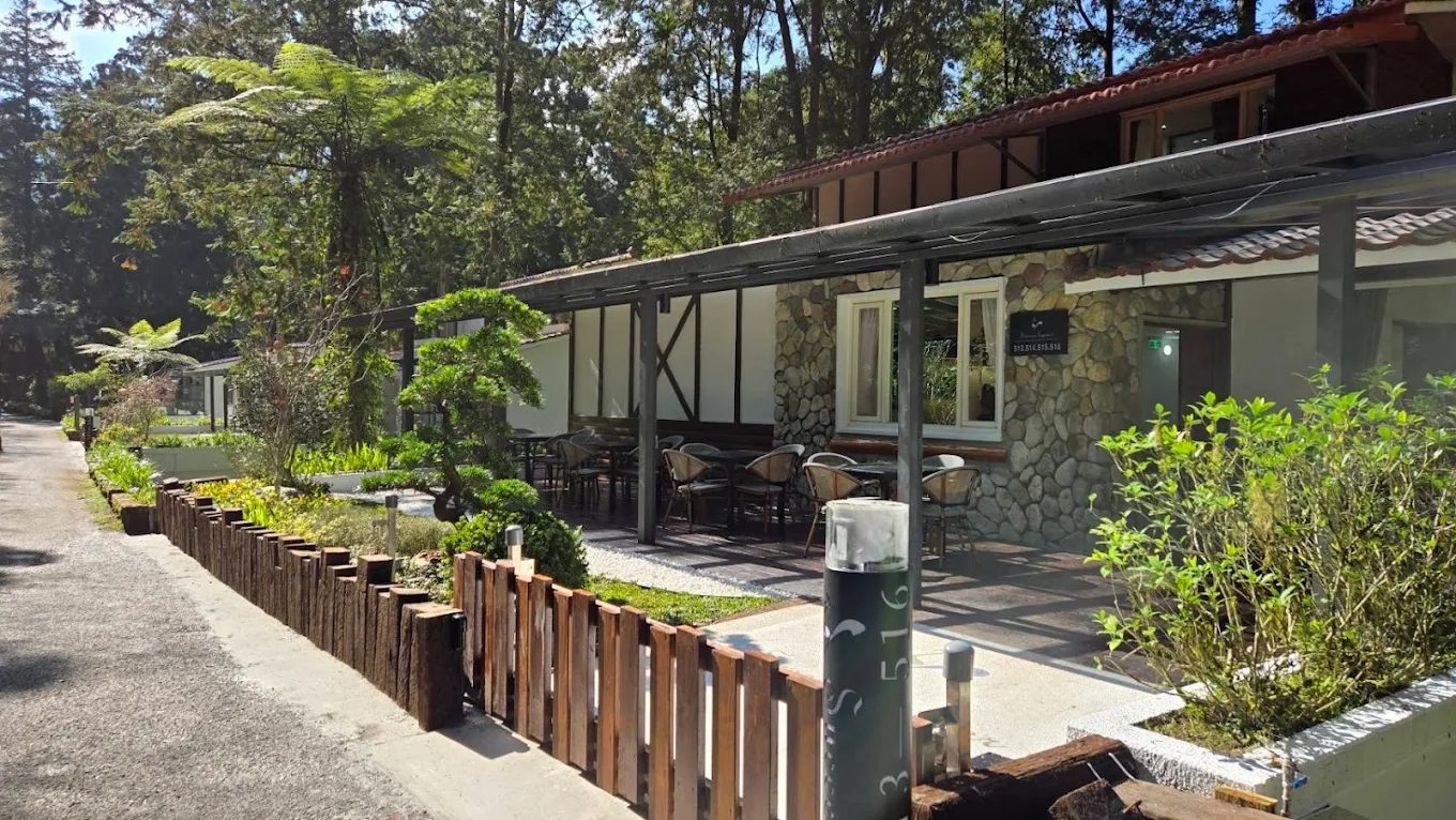 🌿 溪頭住宿推薦｜Success Banner 溪頭飯店．銀杏樓