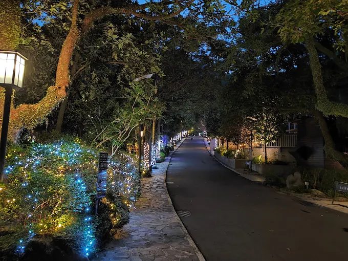 大板根森林溫泉酒店