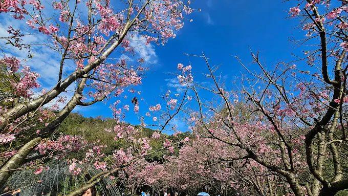 陽明山國家公園