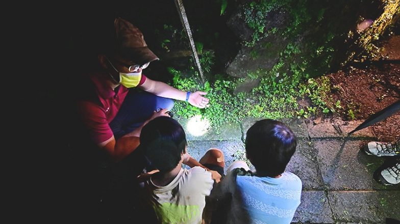 霧氣是最天然的濾鏡!住進溪頭福華渡假飯店,拍出你的宮崎駿森林大片