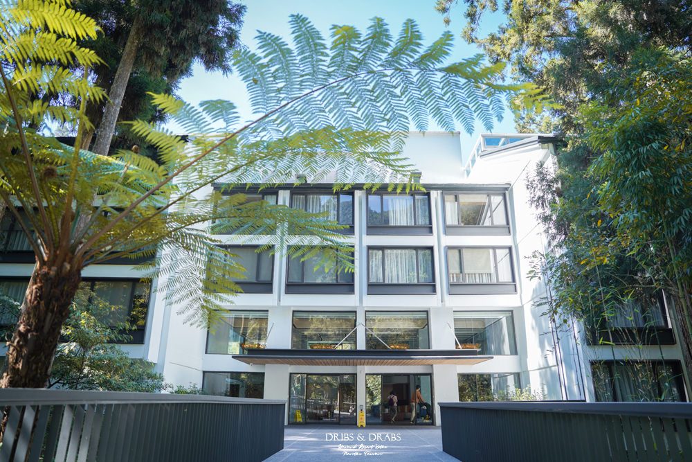 霧氣是最天然的濾鏡!住進溪頭福華渡假飯店,拍出你的宮崎駿森林大片