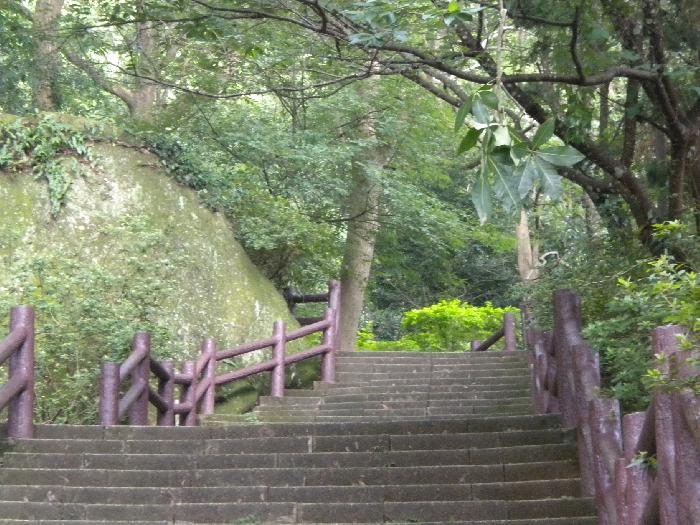 仙草凍不住!苗栗獅潭秘境熱搜中,老街美食+雲霧山城一次打包