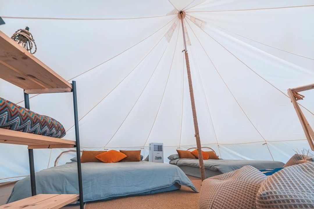 「浮岸別境」一露成主顧！苗栗泰安豪華營地，星空、山景、毛小孩一次滿足