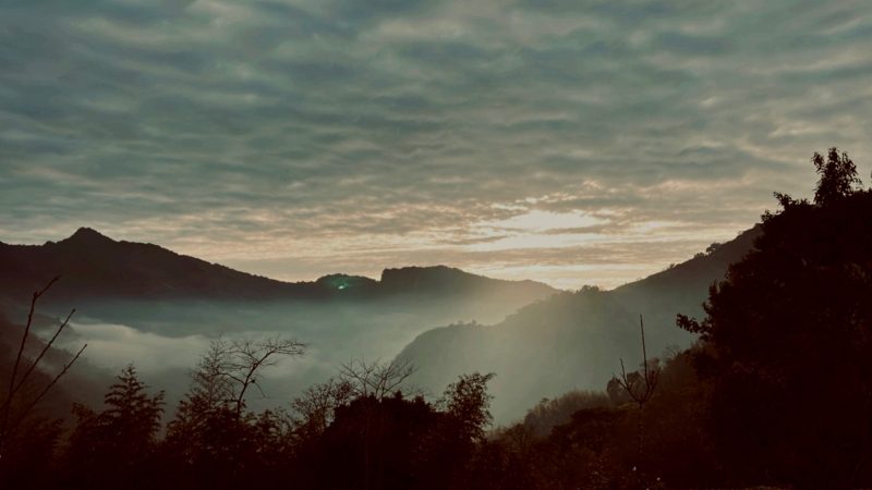 「浮岸別境」一露成主顧！苗栗泰安豪華營地，星空、山景、毛小孩一次滿足