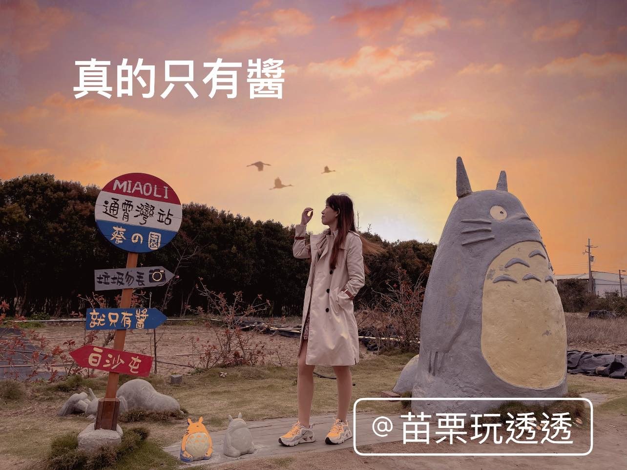 「心動到日落」！苗栗通霄出現夏季限定懸日奇景，心形公路秒變告白聖地