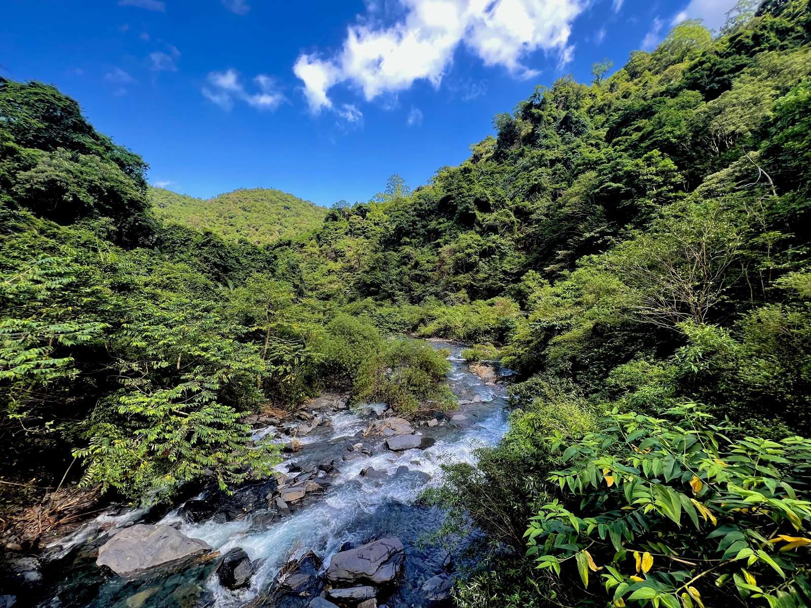 宜蘭5大步道太療癒！走進森林，聽見雲海與瀑布的交響曲