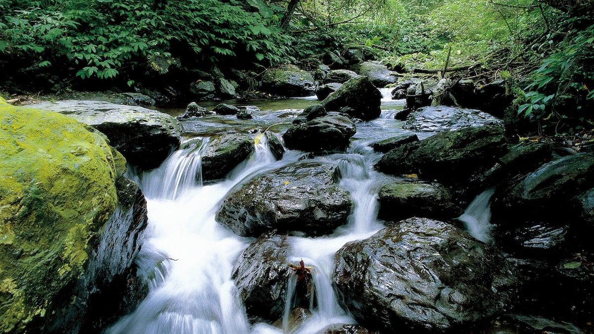宜蘭5大步道太療癒！走進森林，聽見雲海與瀑布的交響曲
