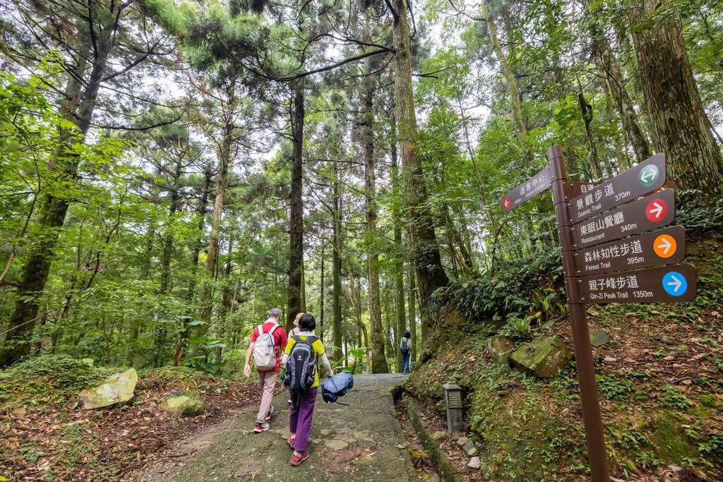 桃園大溪威斯汀｜這才是放假正解！泳池＋水療＋美食的五星假期公式